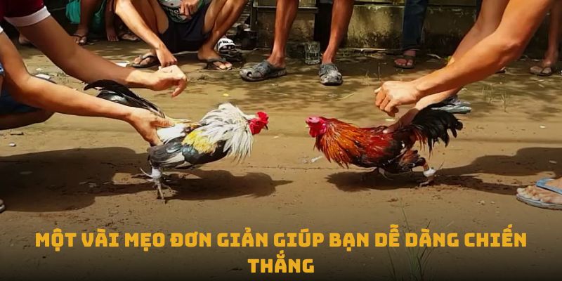 Mot vai meo don gian giup ban de dang chien thang